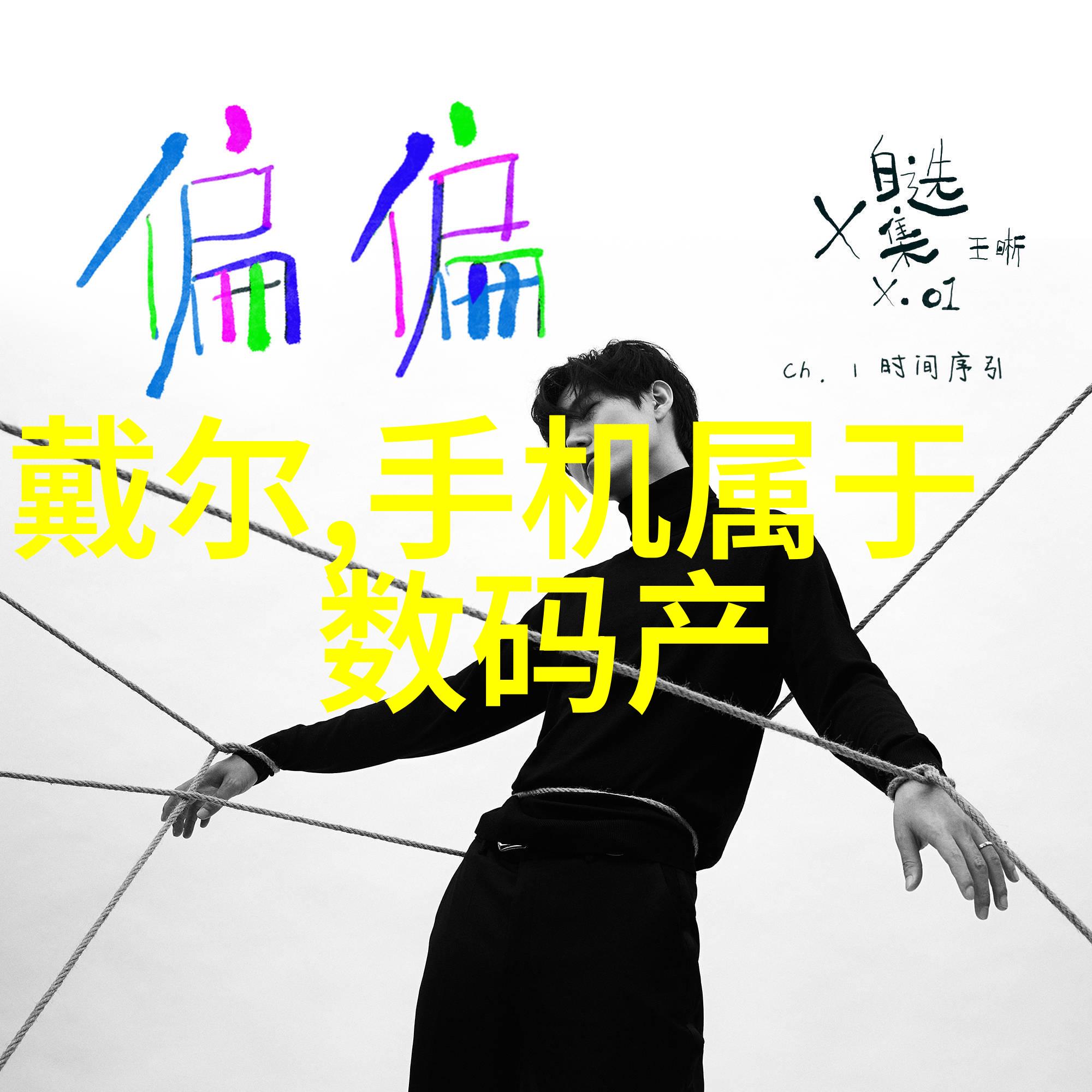 纯蒸汽发生器功效与维护技巧简介
