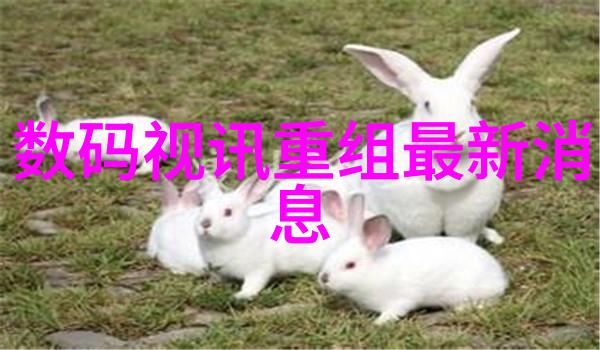 进博会同款健康电器同步上线京东天猫抖音平台社会各界欢迎投资优质生活品质