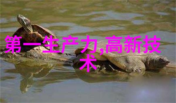 佛山家居装修精致的岭南风格