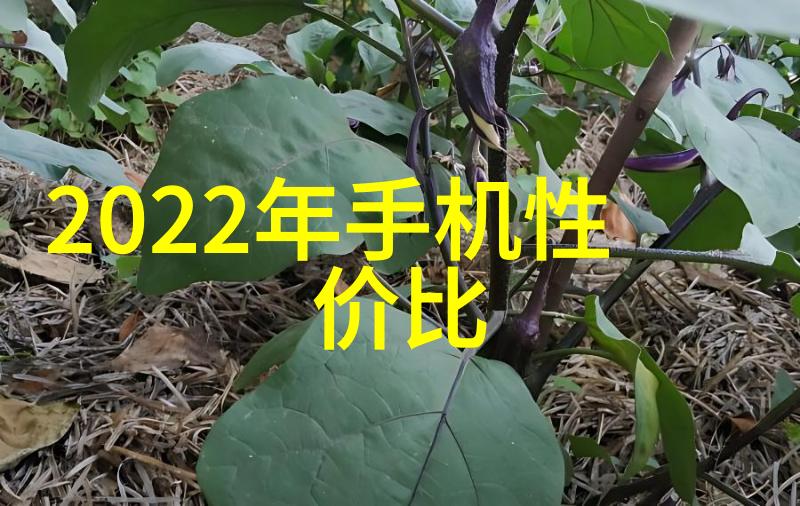 金融分析在投资计划书中的应用实例