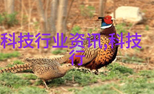 不锈钢斜管填料供应商专业提供高质量的不锈钢斜管填料