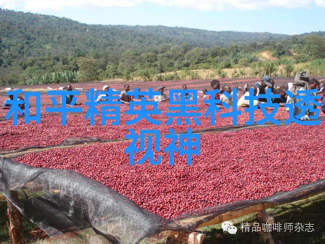 超声波杀菌剂高压灭菌生物指示剂的科学探究
