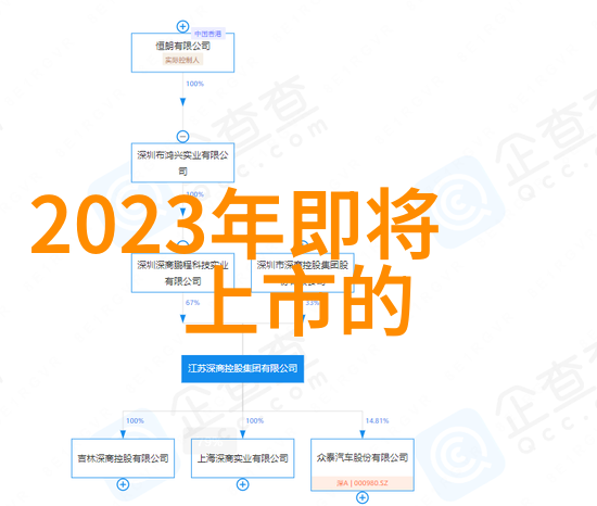 臣惶恐忠诚与忧虑的交织
