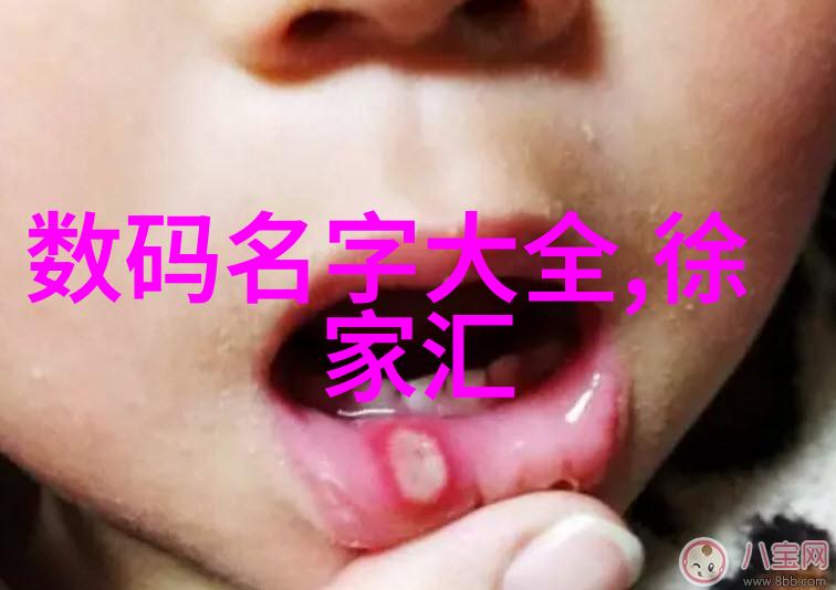 油水分离器内部结构图解析揭秘其关键部件与工作原理