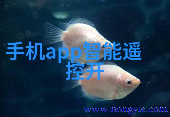 电动车爱好者的心头大问四轮电动车配件大全图究竟包含哪些神器