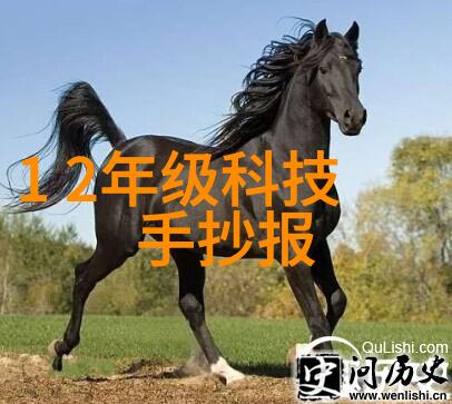 妖仙魅世-沉默的妖女与她的魔力世界
