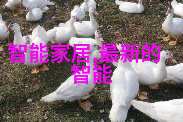 南都美筑福州装修设计的艺术探索