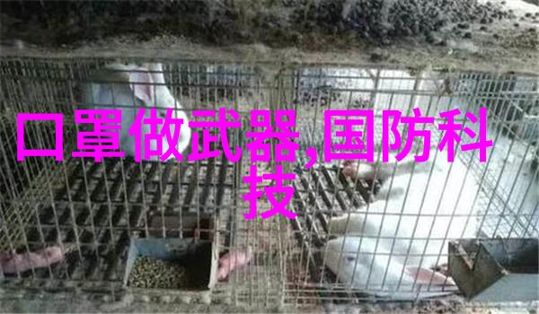 高压蒸汽灭菌器操作指南安全使用技巧与维护原则