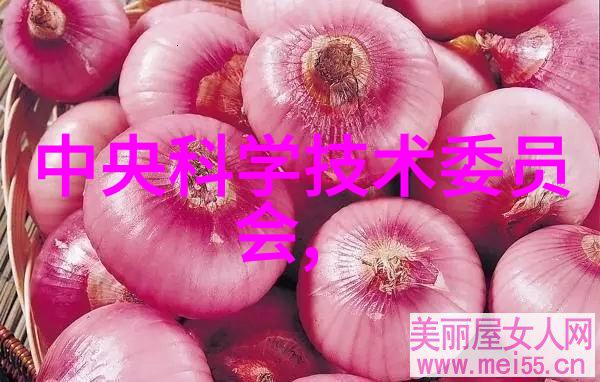 中式装修 - 宁静雅致探索传统中国美学在现代家居中的应用
