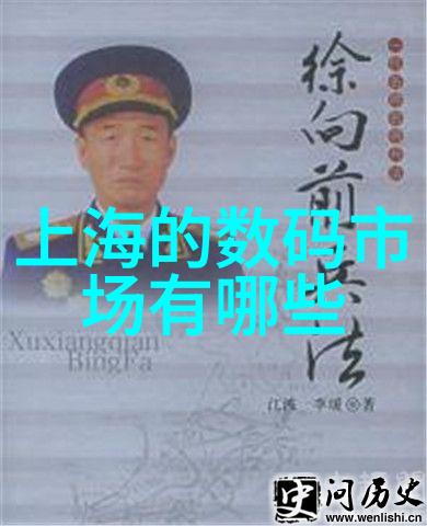 探索质感涂料的艺术触感光泽与色彩的融合