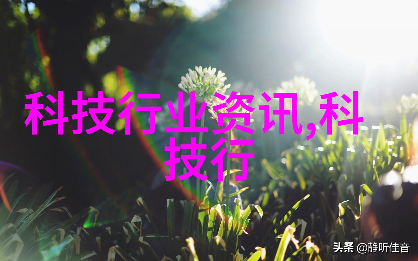 南阳市人事人才测评考试系统的智慧升级