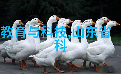 重庆制冷设备-重庆制冷设备行业发展现状与未来趋势分析