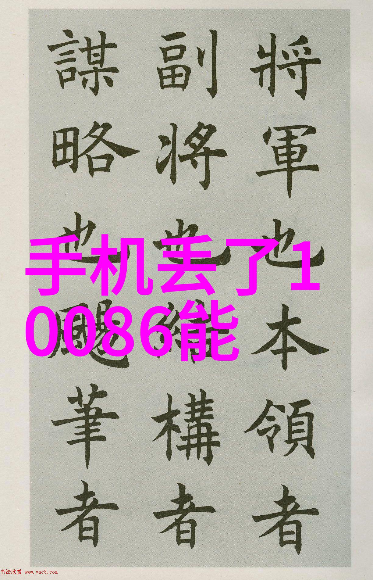 亲情与爱情的交织儿子与情人的隐秘故事