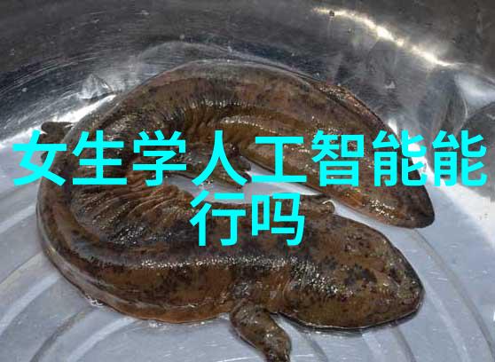 高质量钢管材供应商的选择与应用