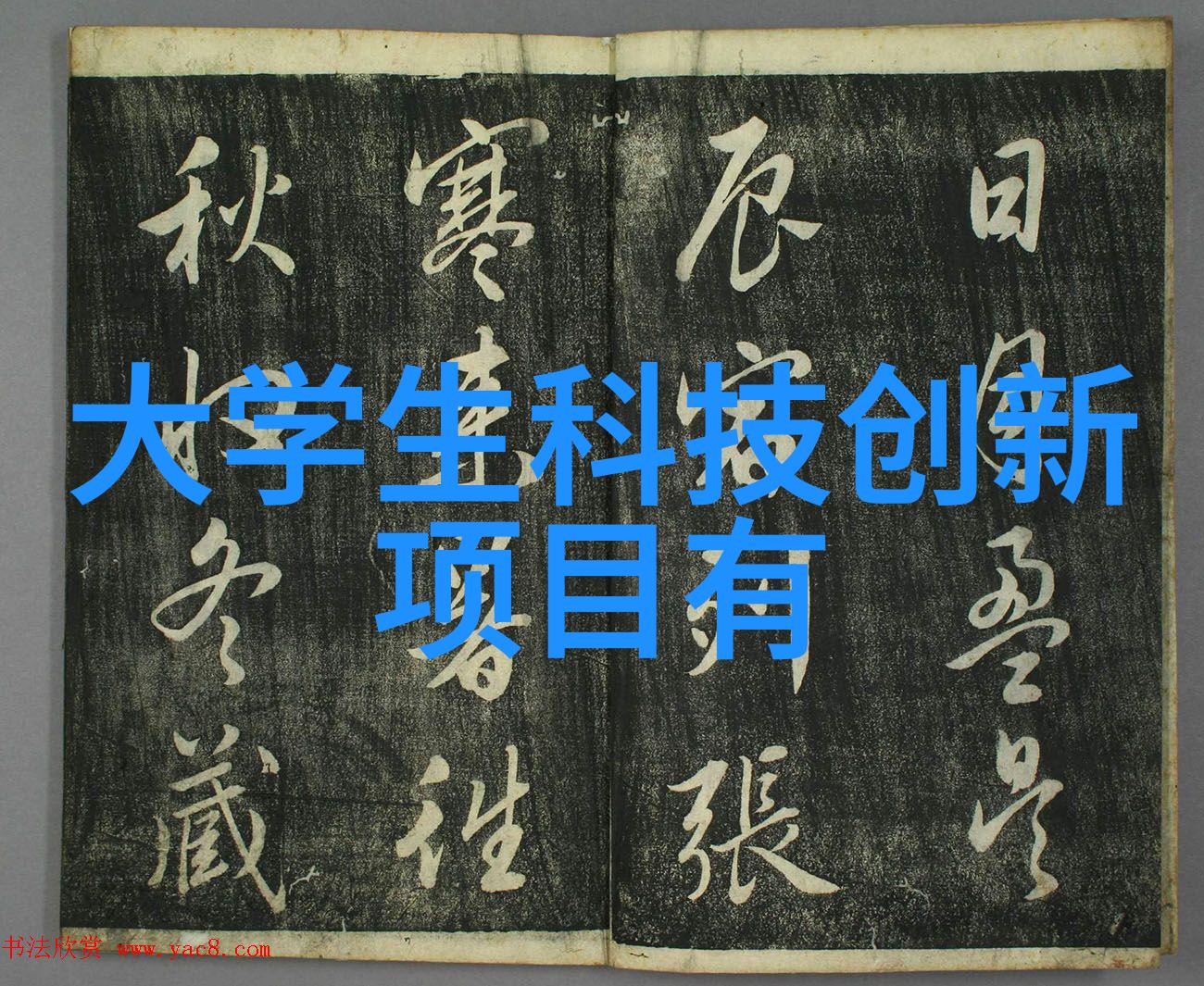 撰写高效工作情况报告的技巧与要点