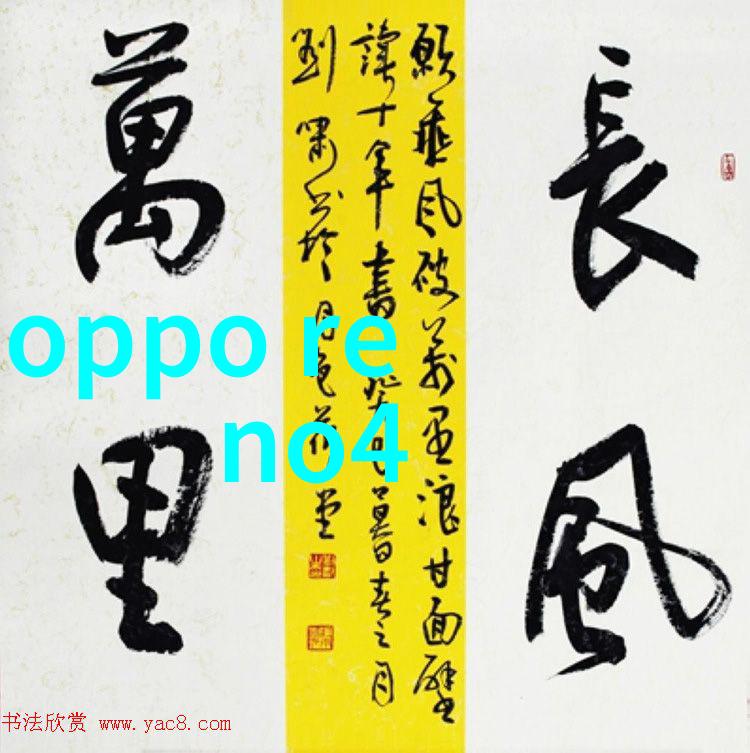 私教健身全程解析从入门到精通