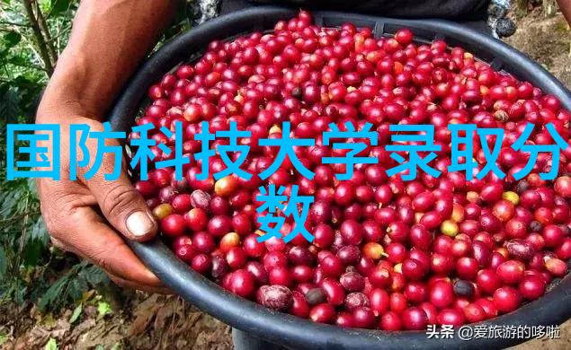 干法制 PARTICLE MACHINE 的维护保养需要注意什么问题