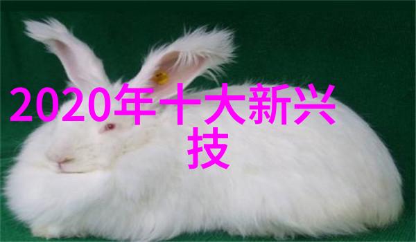 pvc管材型号及口径-PVC管材的选择与应用详解各类型号和口径
