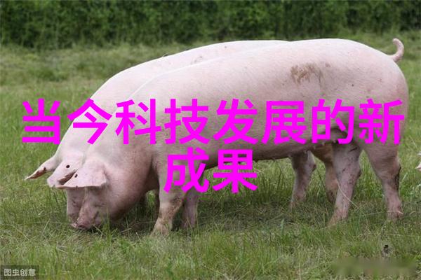 无缝不锈钢管生活中的小英雄厨房里的超级伙伴