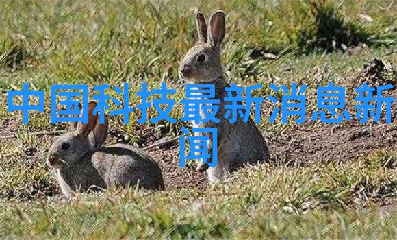 有没有简单易行的方法来判断我家的饮用水质量