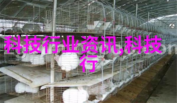 暗流涌动的净化之谜