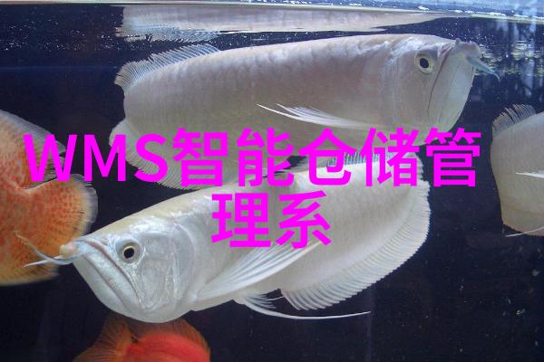 装修指南-探索室内美学八大装修风格的魅力与特点