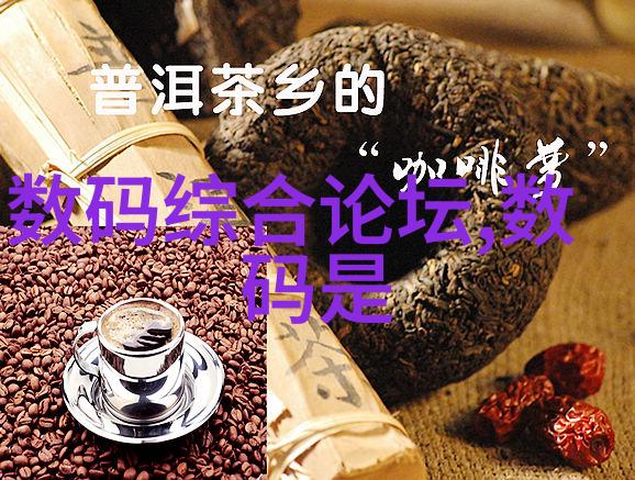 土鳖与海龟一段意外的相遇故事