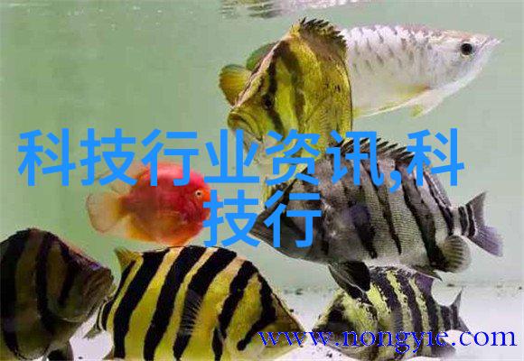 一月之作简明总结与学术展望