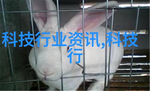 小叔子赞叹的奶奶形象