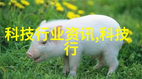 农村房大厅装修梦幻田园之美