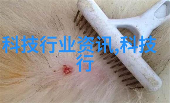 东方学院财经学子的梦想之地