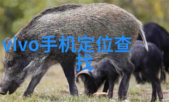 实拍精选房子装修效果图片大全真实案例展示