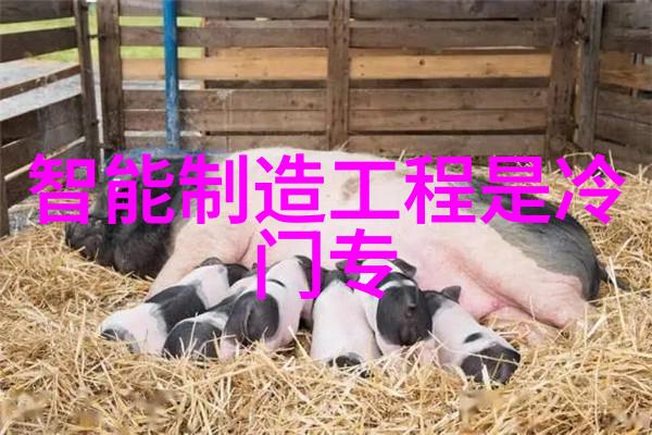 纯净源水的灵魂机器