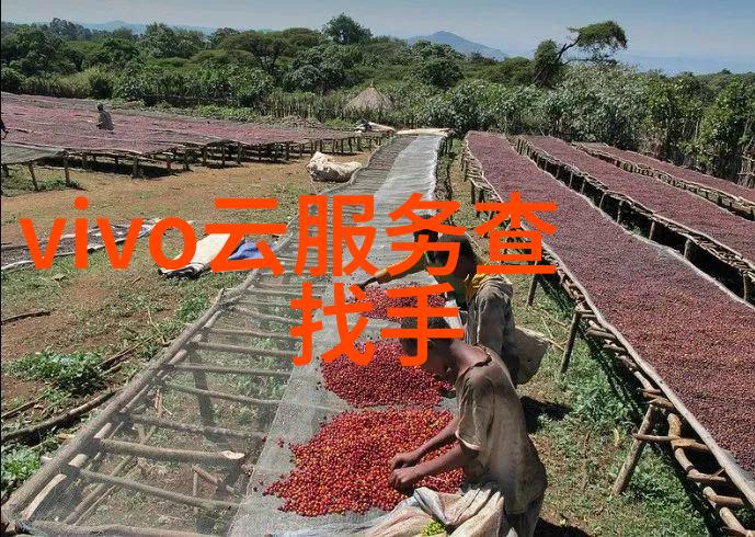 揭秘净水器水质检测标准确保每一滴清澈之水的安全与质量
