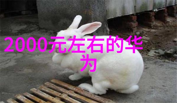 主题我在韩国的三级生活从零到英雄的奇幻之旅