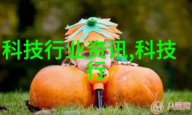 在未来技术发展趋势下两者的替代可能性以及潜在发展方向是什么