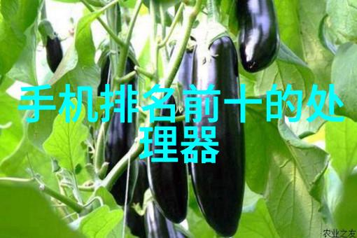 扬州工业职业技术学院从铁匠到码农学霸们的逆袭之旅