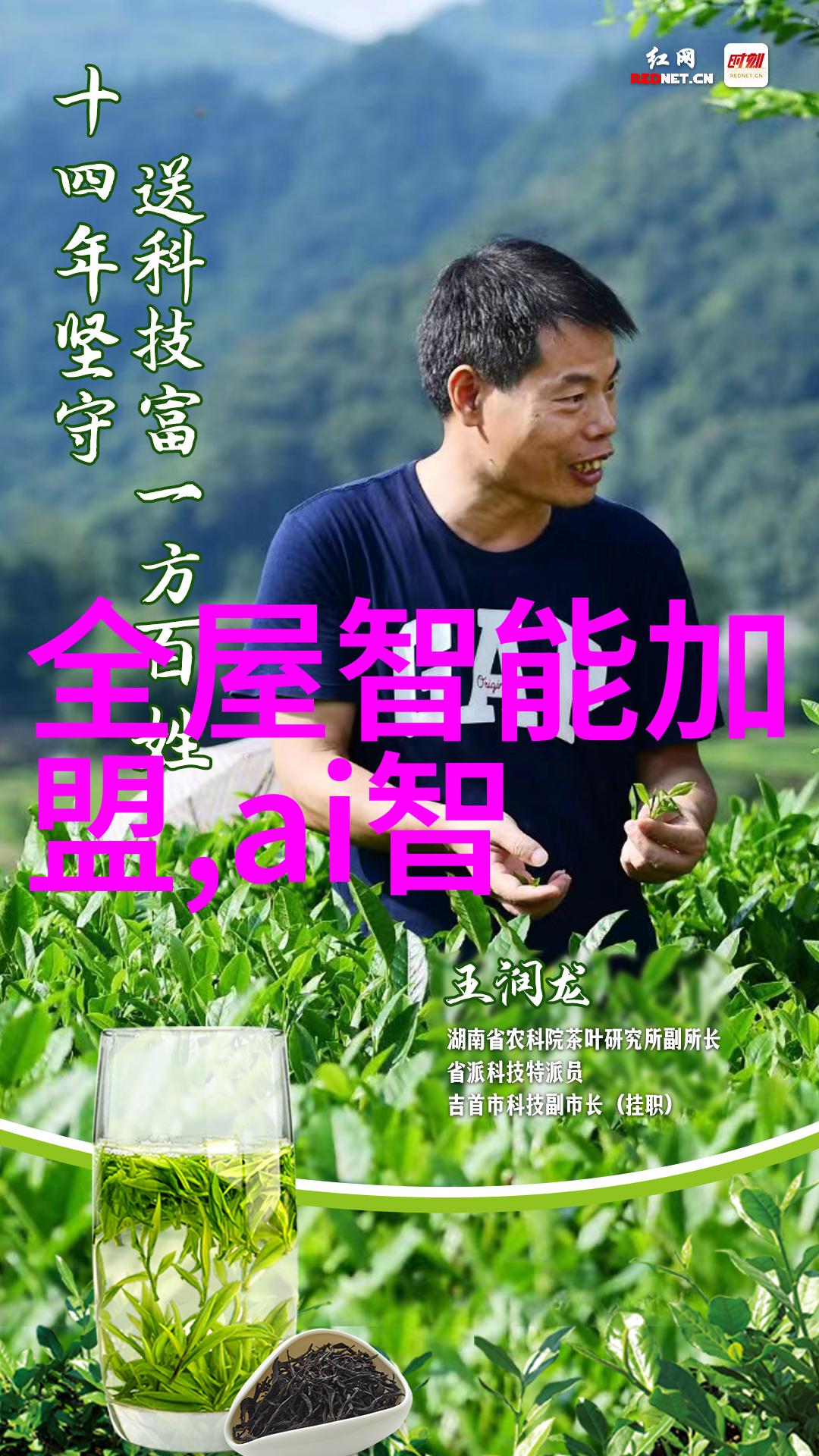 电力设备-PP三相分离器的工作原理与应用概述