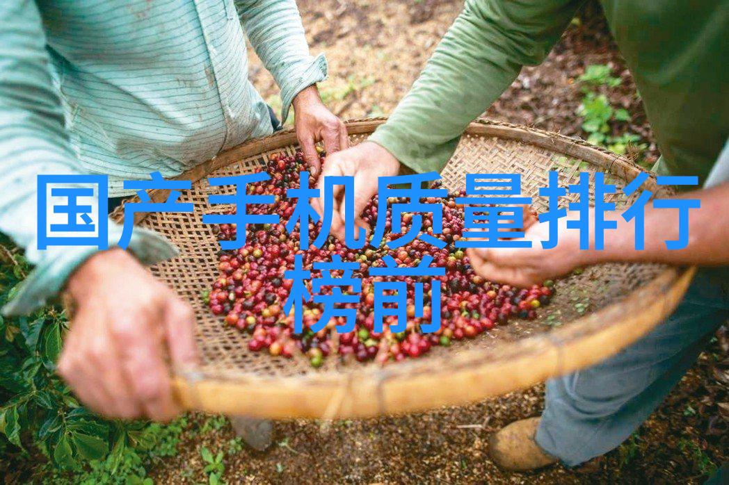 工程咨询项目策划与实施的智慧引擎
