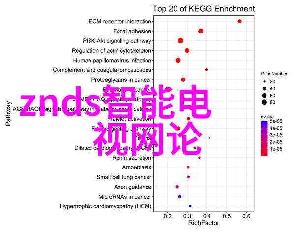 真空食品杀菌设备有哪些 - 高效杀菌解决方案探索真空技术的应用