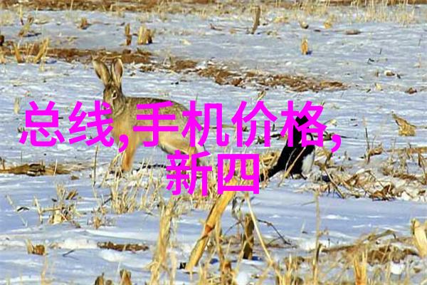螺旋输送机设备提升物料传输效率的智能解决方案