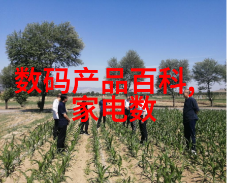 注射剂机械我的手下小能手