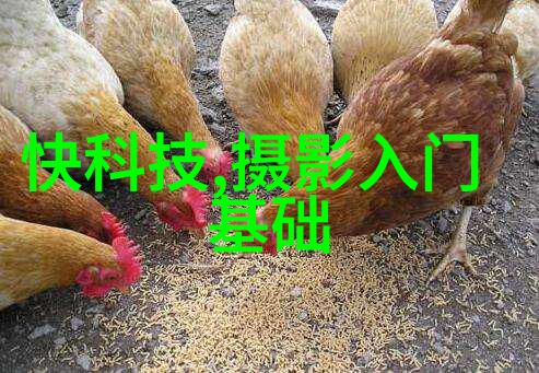 化工产品-从原料到终端揭秘化学变化的奇迹