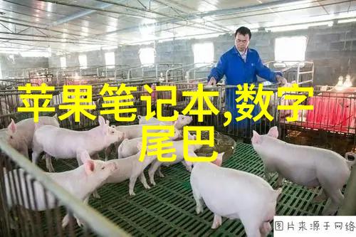 从采购到安装何时何地都能找到信得过的PE管材制造商電話