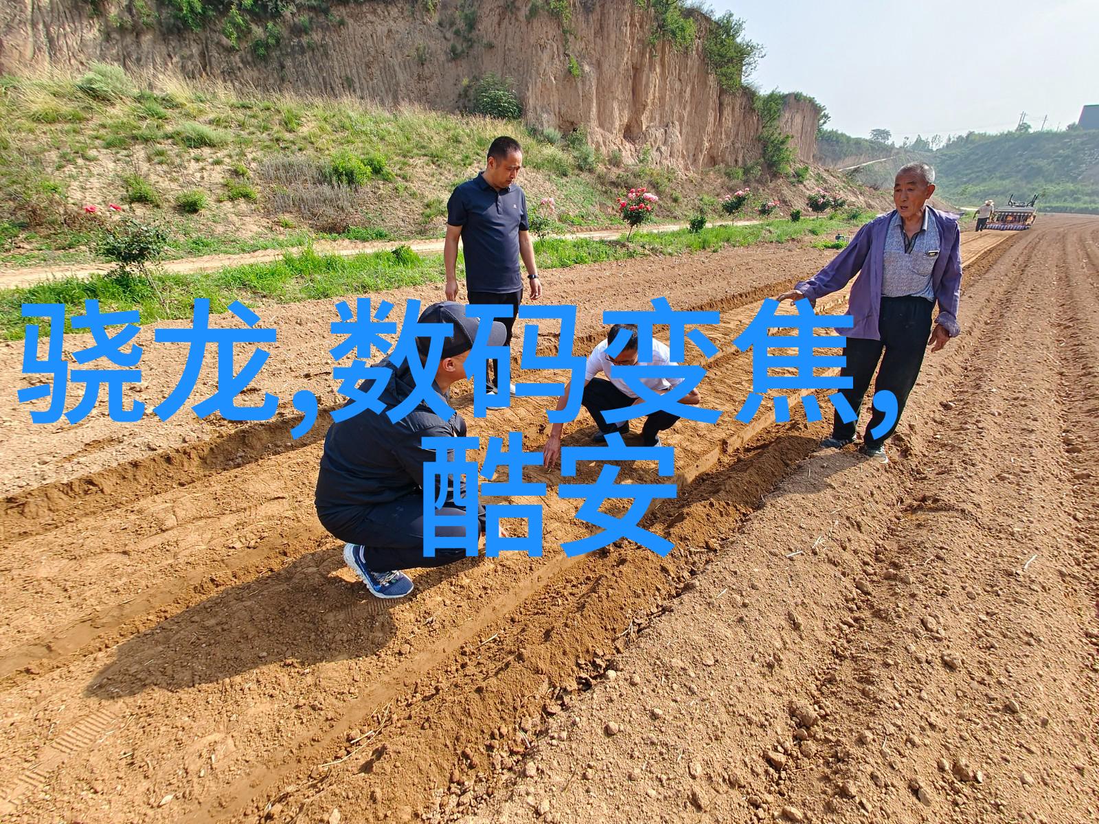 甜蜜诱惑食品添加剂背后的健康隐患