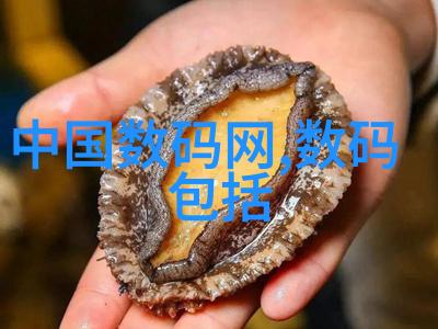 卫生间漏水之谜不砸砖的解决方案