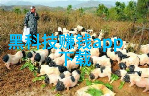 主题我是如何用一台混合搅拌设备让家常菜变神奇的