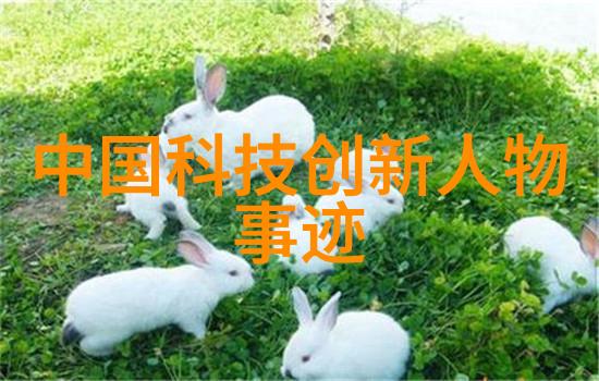 厨房间装修效果图-温馨舒适的家居空间创造者