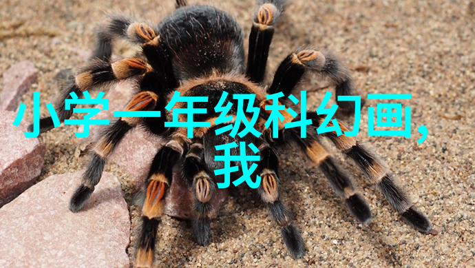 冲喜小傻妃甜宠情缘
