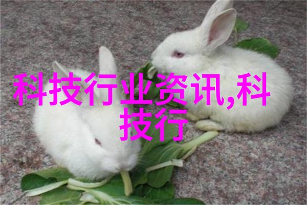 水位显示仪确保安全的水文监测与管理系统